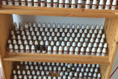 Heilpraxis-Waldkirch03